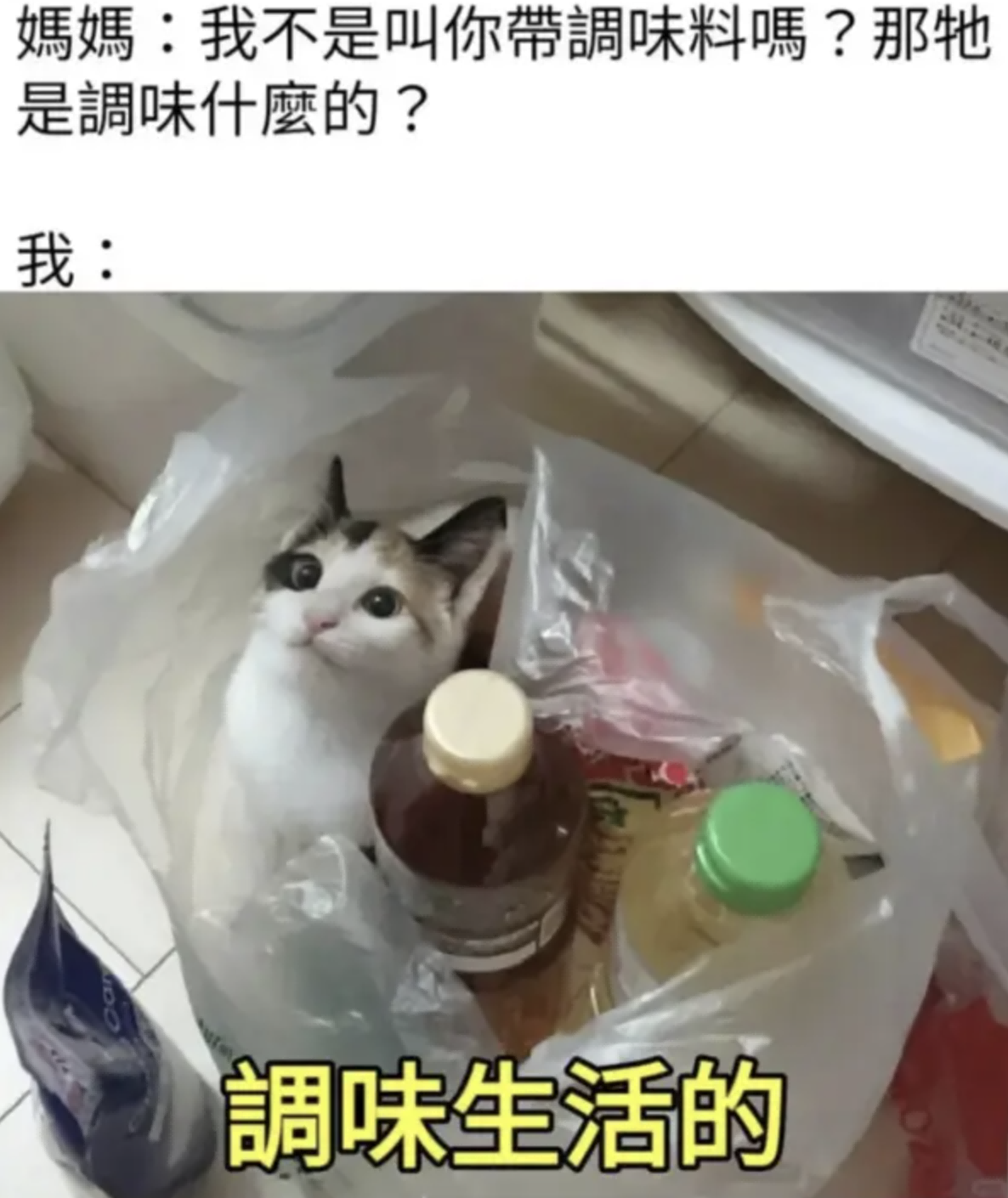 今日沙雕：求一个全世界都在听的小众歌曲宣传图115