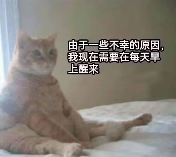 今日沙雕： 黑人要怎么白手起家？宣传图2