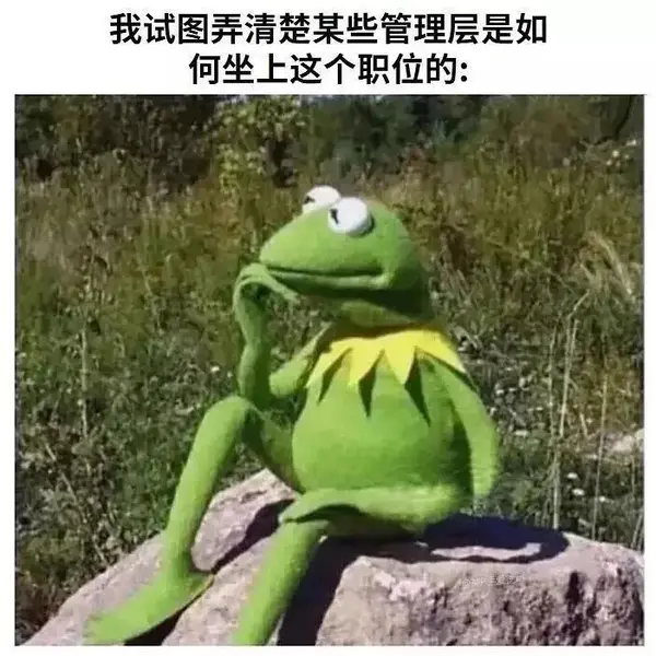 今日沙雕： 黑人要怎么白手起家？宣传图33