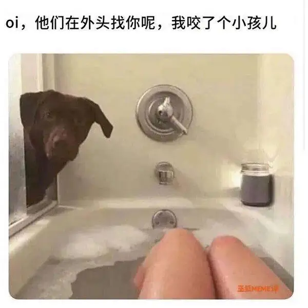 今日沙雕： 黑人要怎么白手起家？宣传图36