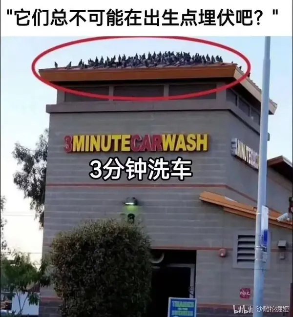 今日沙雕： 黑人要怎么白手起家？宣传图55