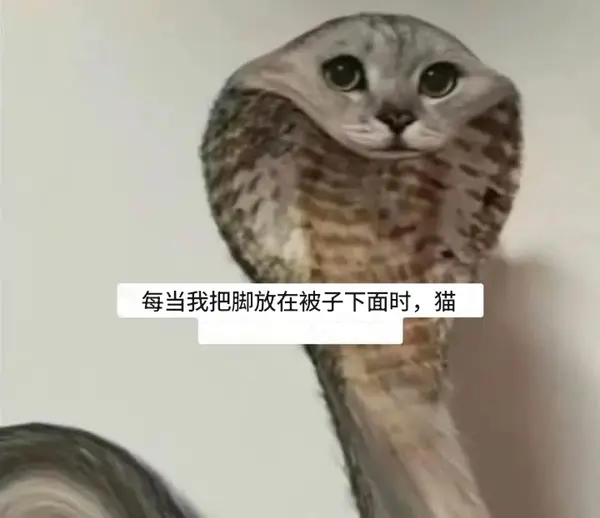 今日沙雕： 黑人要怎么白手起家？宣传图76