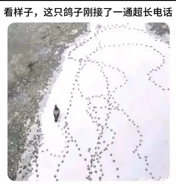 今日沙雕： 黑人要怎么白手起家？宣传图107