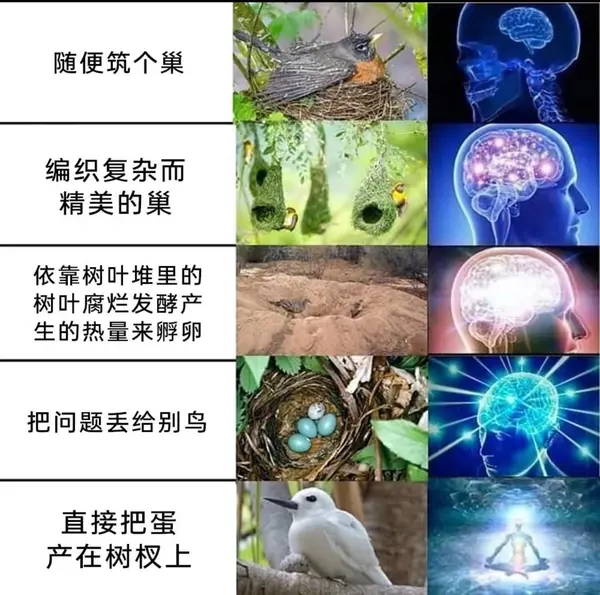 今日沙雕： 黑人要怎么白手起家？宣传图111