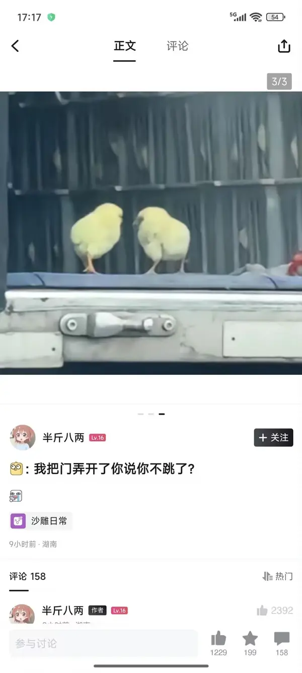 今日沙雕： 黑人要怎么白手起家？宣传图144
