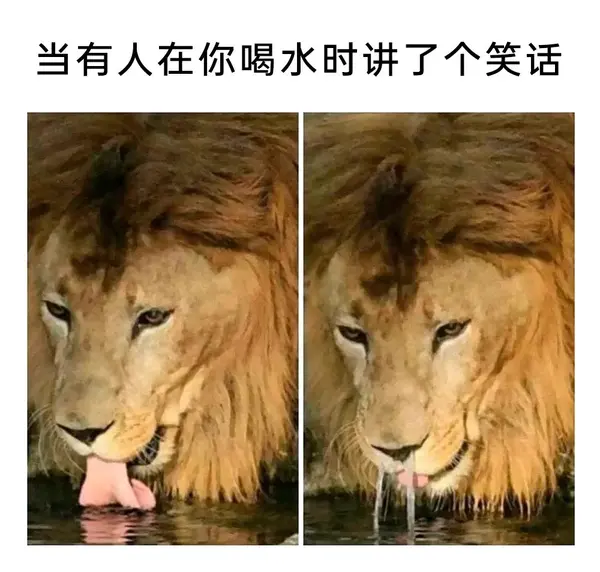 今日沙雕：只有皇帝能用黄色，那古人怎么拉屎呢宣传图53