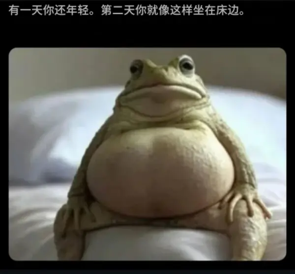 今日沙雕：只有皇帝能用黄色，那古人怎么拉屎呢宣传图65