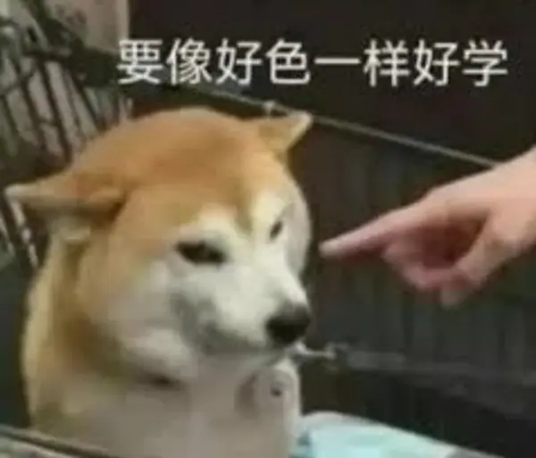 今日沙雕：只有皇帝能用黄色，那古人怎么拉屎呢宣传图85
