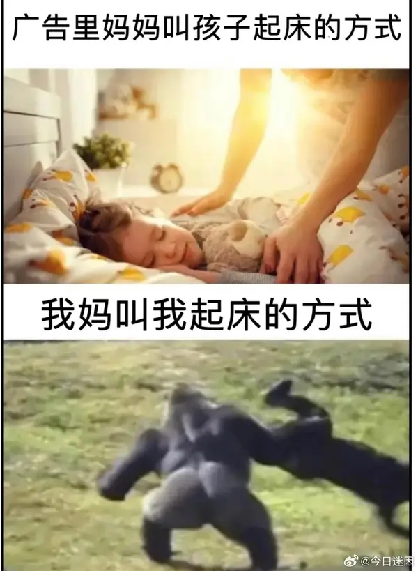今日沙雕：仰卧起坐时我的头碰到了膝盖，心想还好不是贪吃蛇宣传图4