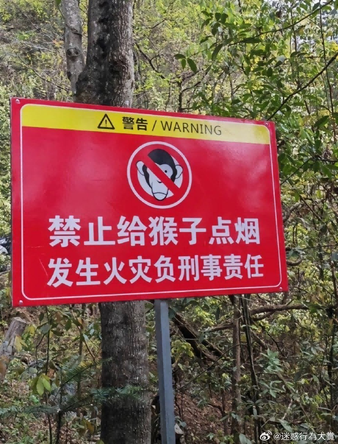 今日沙雕：仰卧起坐时我的头碰到了膝盖，心想还好不是贪吃蛇宣传图45
