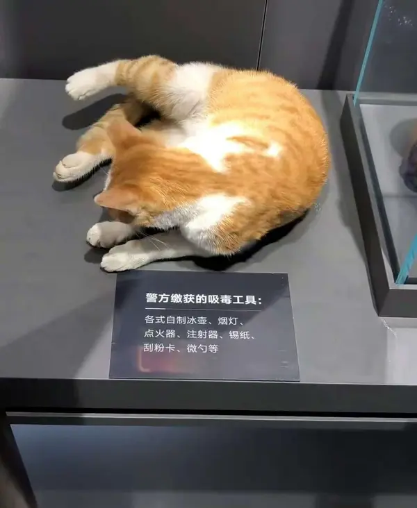 今日沙雕：仰卧起坐时我的头碰到了膝盖，心想还好不是贪吃蛇宣传图83