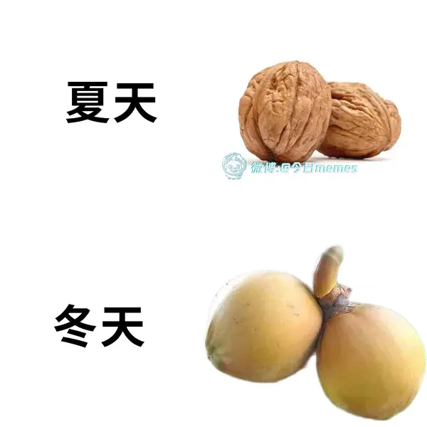 今日沙雕：仰卧起坐时我的头碰到了膝盖，心想还好不是贪吃蛇宣传图104