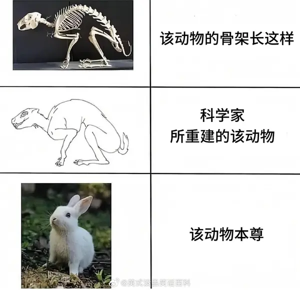 今日沙雕： 清華北大明明是國內(nèi)第一的名校，為什么從來沒有出過高考狀元宣傳圖1