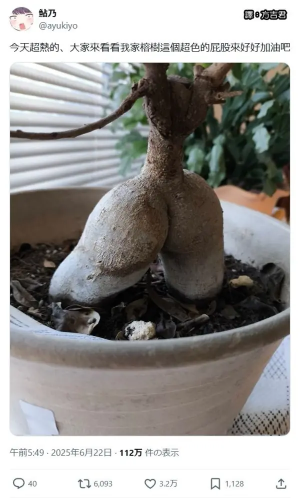 今日沙雕： 清華北大明明是國內(nèi)第一的名校，為什么從來沒有出過高考狀元宣傳圖2