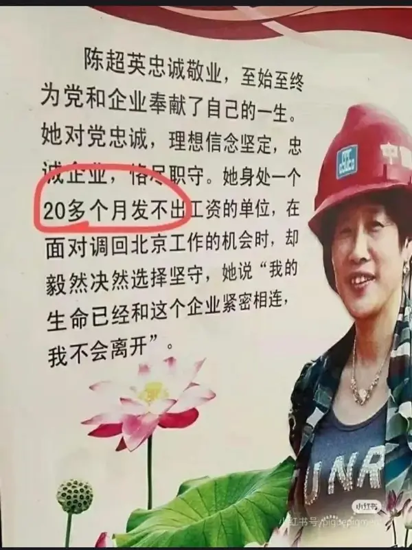 今日沙雕： 清華北大明明是國內(nèi)第一的名校，為什么從來沒有出過高考狀元宣傳圖33