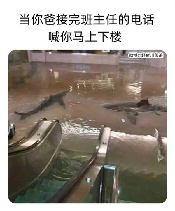 今日沙雕： 清華北大明明是國內(nèi)第一的名校，為什么從來沒有出過高考狀元宣傳圖49