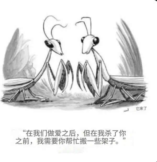 今日沙雕： 清華北大明明是國內(nèi)第一的名校，為什么從來沒有出過高考狀元宣傳圖55