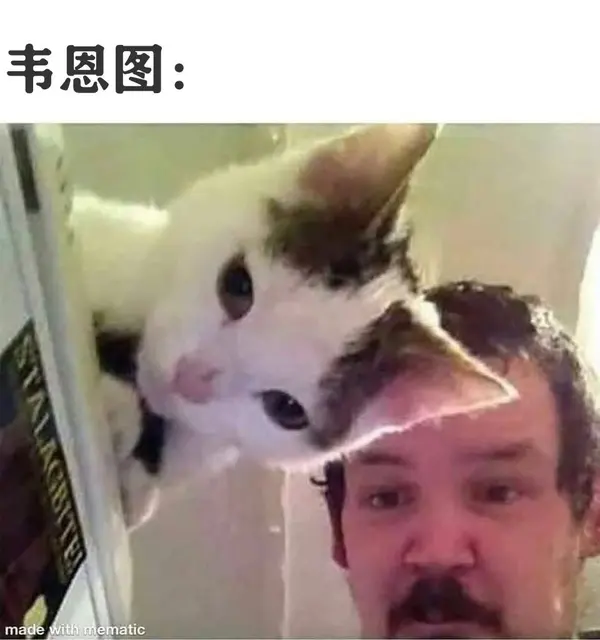 今日沙雕： 清華北大明明是國內(nèi)第一的名校，為什么從來沒有出過高考狀元宣傳圖56