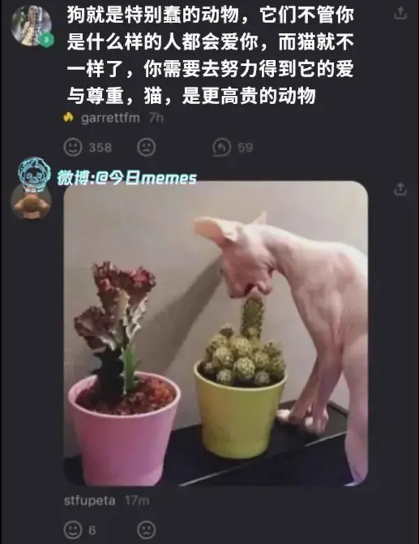 今日沙雕： 救命，我被困在地球了怎么辦？宣傳圖33