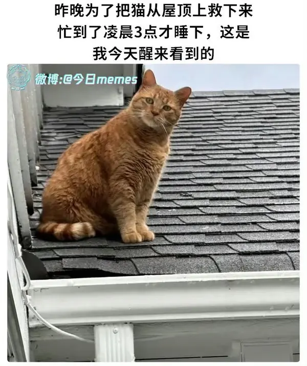 今日沙雕： 救命，我被困在地球了怎么辦？宣傳圖50