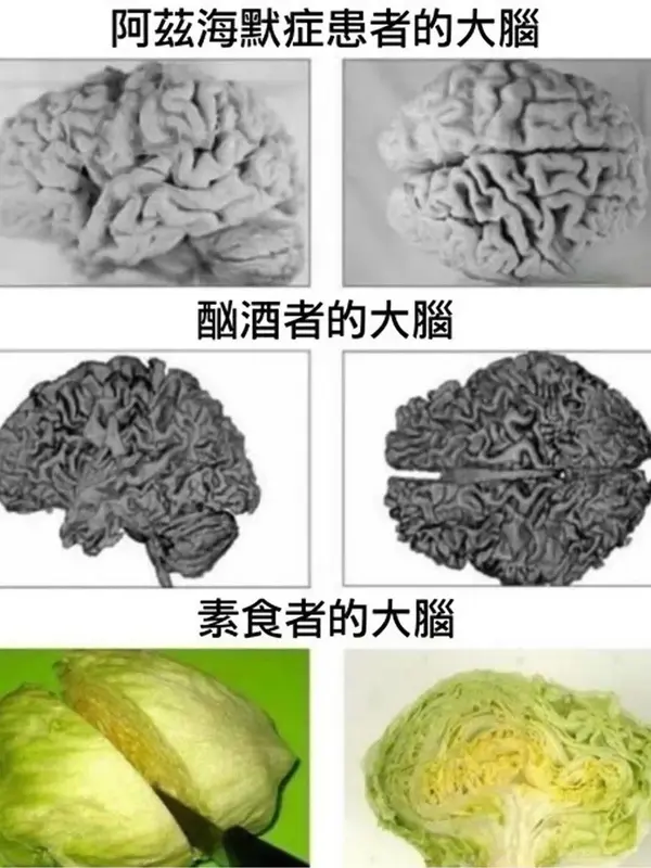 今日沙雕：哎呀，第一次脫褲子上廁所好害羞宣傳圖23