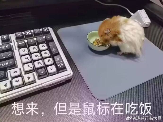 今日沙雕：哎呀，第一次脫褲子上廁所好害羞宣傳圖27