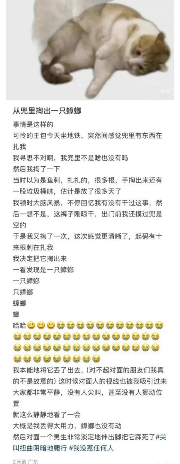 今日沙雕：哎呀，第一次脫褲子上廁所好害羞宣傳圖61