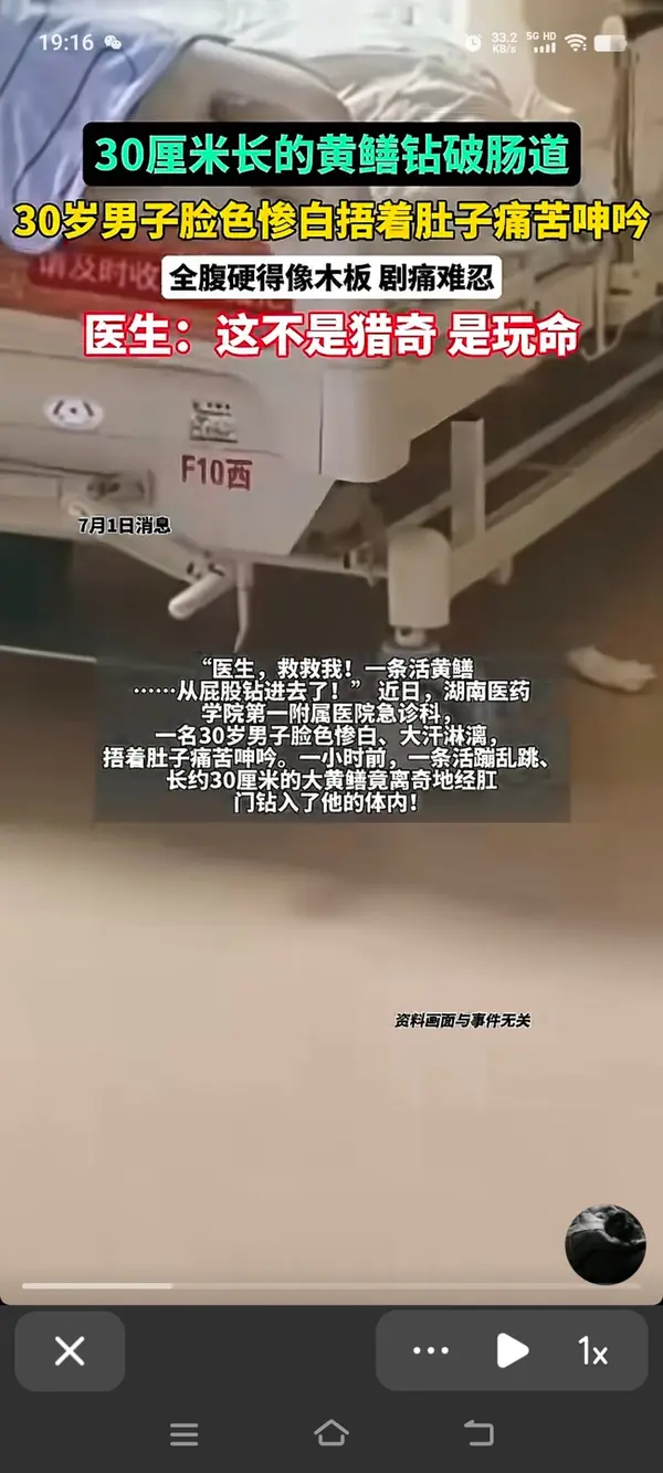 今日沙雕：太陽(yáng)通過光合作用生成陽(yáng)光宣傳圖5