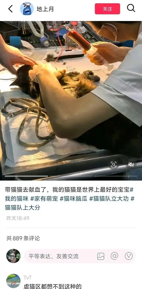 今日沙雕：太陽(yáng)通過光合作用生成陽(yáng)光宣傳圖24