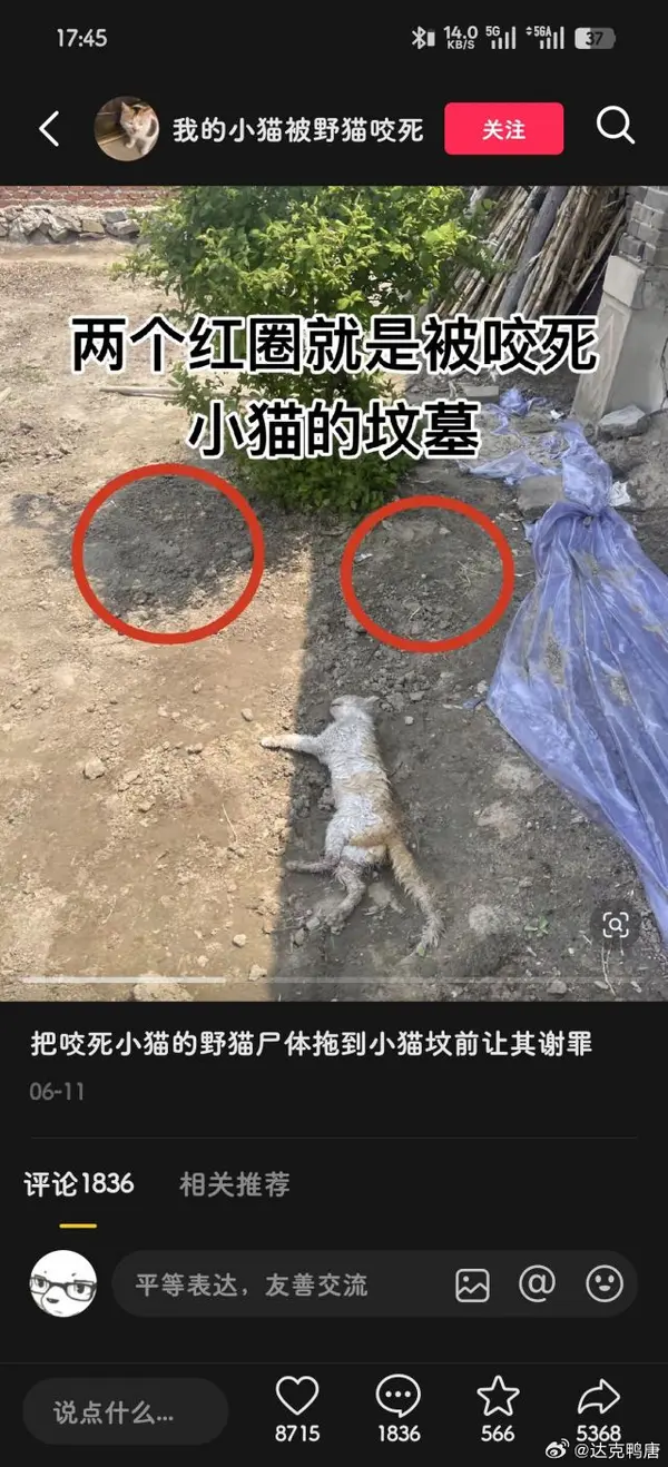 今日沙雕：太陽(yáng)通過光合作用生成陽(yáng)光宣傳圖29