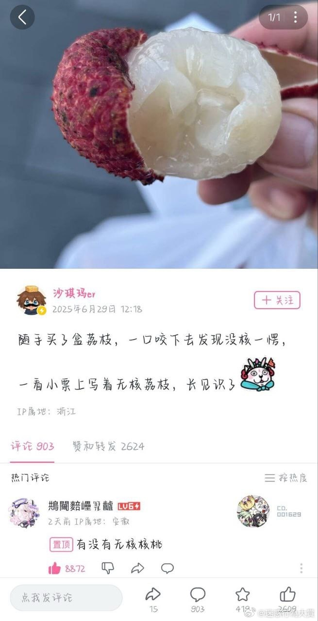 今日沙雕：太陽(yáng)通過光合作用生成陽(yáng)光宣傳圖44