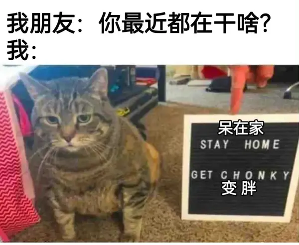 今日沙雕：太陽(yáng)通過光合作用生成陽(yáng)光宣傳圖98