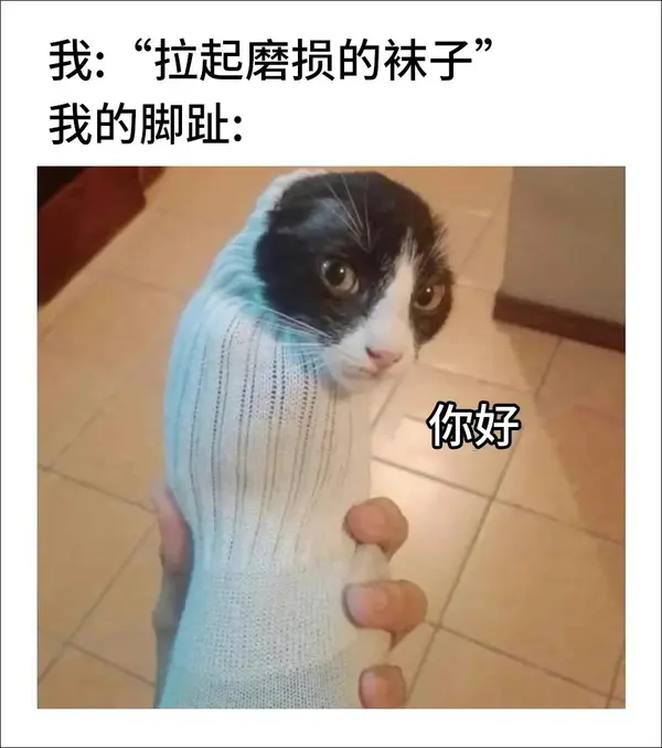今日沙雕：太陽(yáng)通過光合作用生成陽(yáng)光宣傳圖110