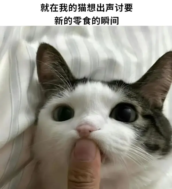 今日沙雕：太陽(yáng)通過光合作用生成陽(yáng)光宣傳圖111