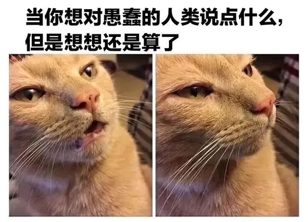 今日沙雕：太陽(yáng)通過光合作用生成陽(yáng)光宣傳圖112
