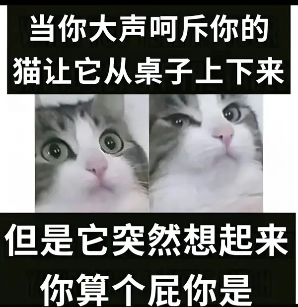 今日沙雕：太陽(yáng)通過光合作用生成陽(yáng)光宣傳圖113