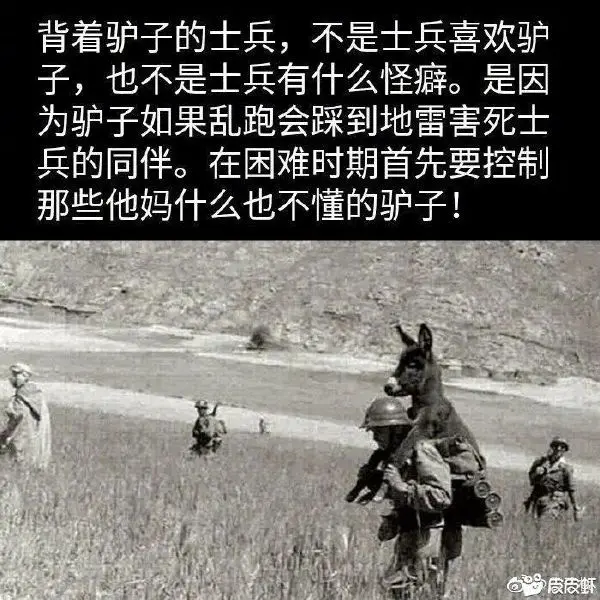 今日沙雕： 一聞到屎就想吐是不是懷了?。啃麄鲌D47
