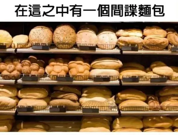 今日沙雕： 一聞到屎就想吐是不是懷了??？宣傳圖99