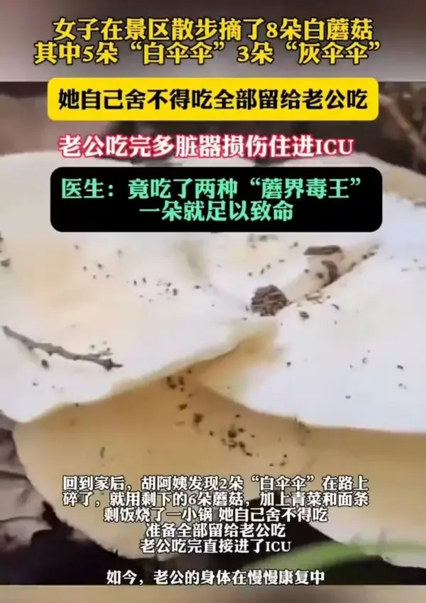 今日沙雕： 一聞到屎就想吐是不是懷了啊？宣傳圖107