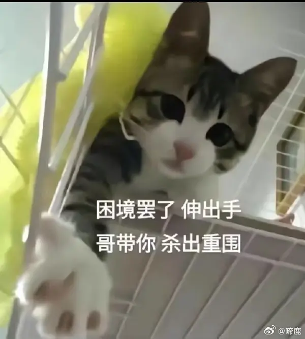 今日沙雕：既然非法盜竊會被抓，那合法盜竊不就行了？宣傳圖48
