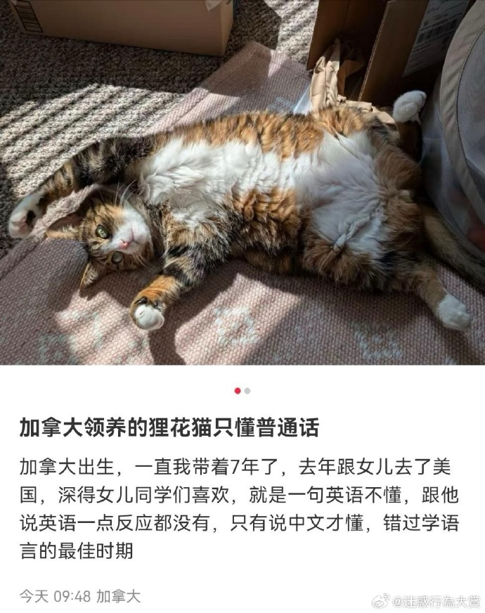 今日沙雕：既然非法盜竊會被抓，那合法盜竊不就行了？宣傳圖56
