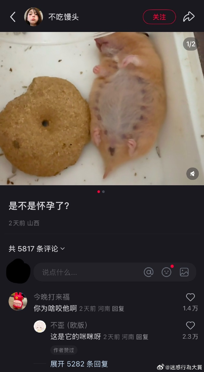 今日沙雕：既然非法盜竊會被抓，那合法盜竊不就行了？宣傳圖68