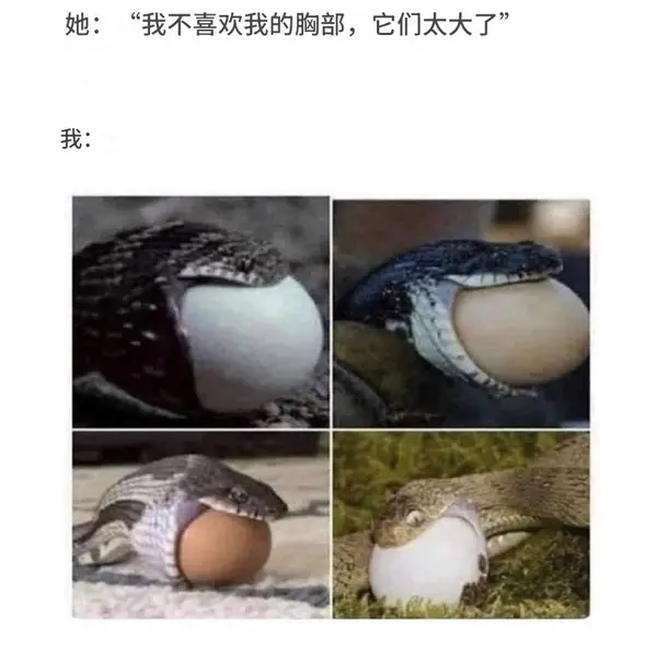 今日沙雕：既然非法盜竊會被抓，那合法盜竊不就行了？宣傳圖97