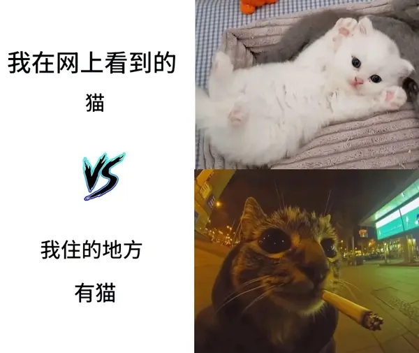今日沙雕：既然非法盜竊會被抓，那合法盜竊不就行了？宣傳圖109