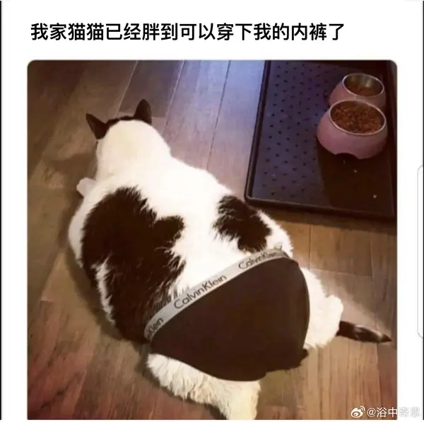今日沙雕：既然非法盜竊會被抓，那合法盜竊不就行了？宣傳圖141