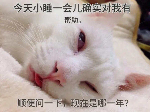 今日沙雕：既然非法盜竊會被抓，那合法盜竊不就行了？宣傳圖157