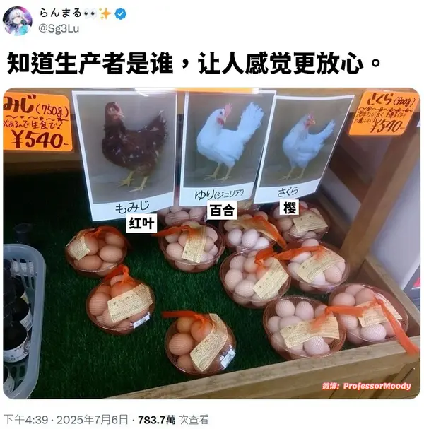 今日沙雕： 出生證丟了怎么證明自己出生了宣傳圖14