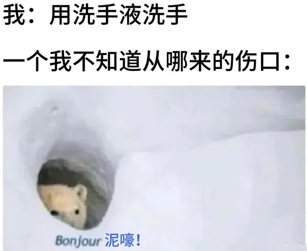 今日沙雕： 出生證丟了怎么證明自己出生了宣傳圖16