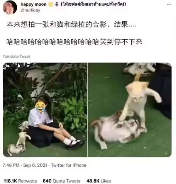 今日沙雕： 出生證丟了怎么證明自己出生了宣傳圖52