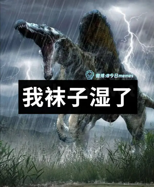 今日沙雕： 出生證丟了怎么證明自己出生了宣傳圖91